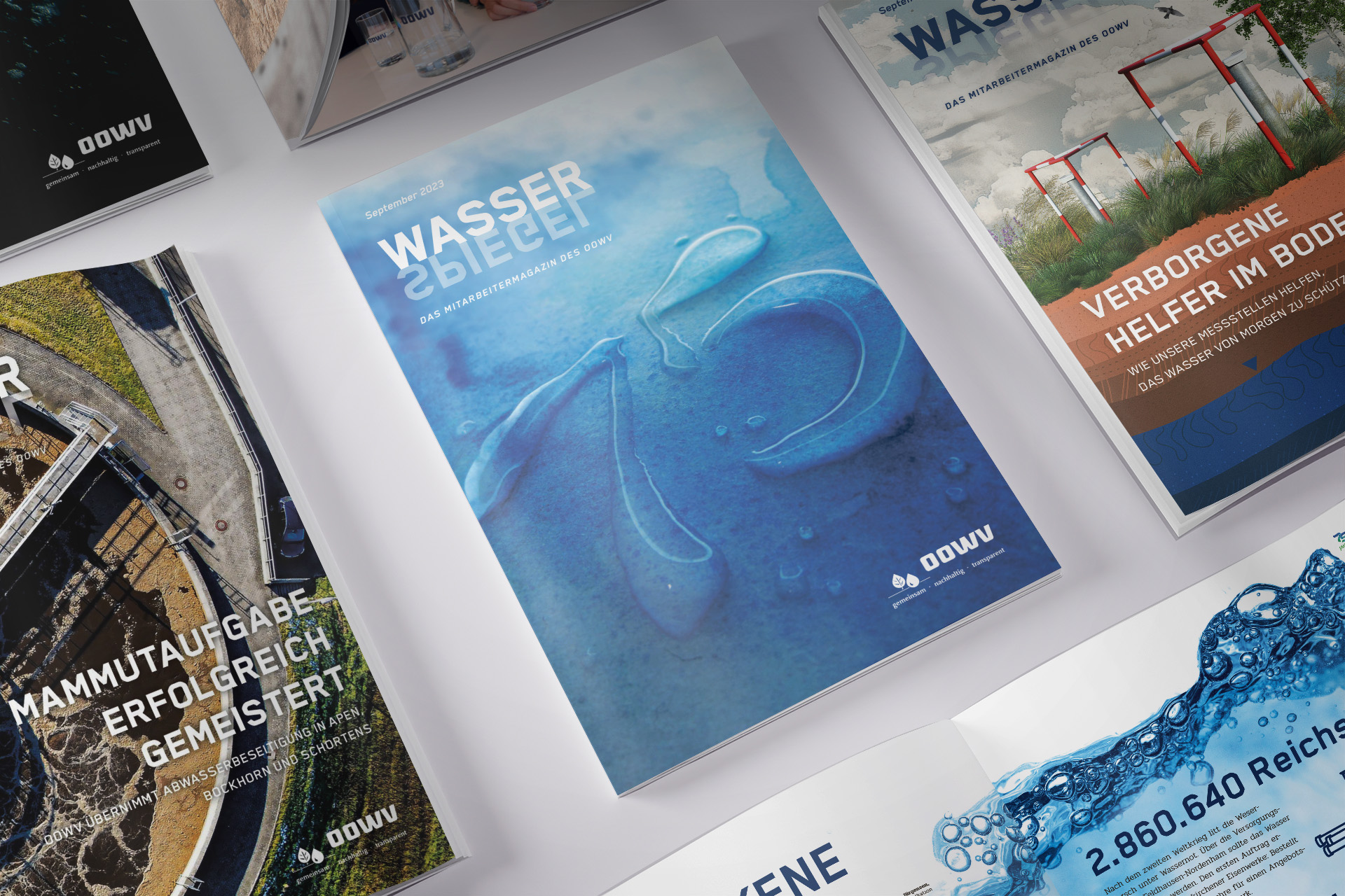 Leistung Publikation 2 Wasserspiegel - OOWV